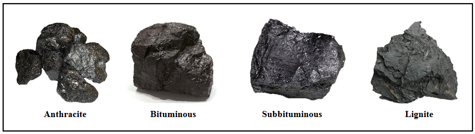 Batubara proses terbentuknya Proses dan