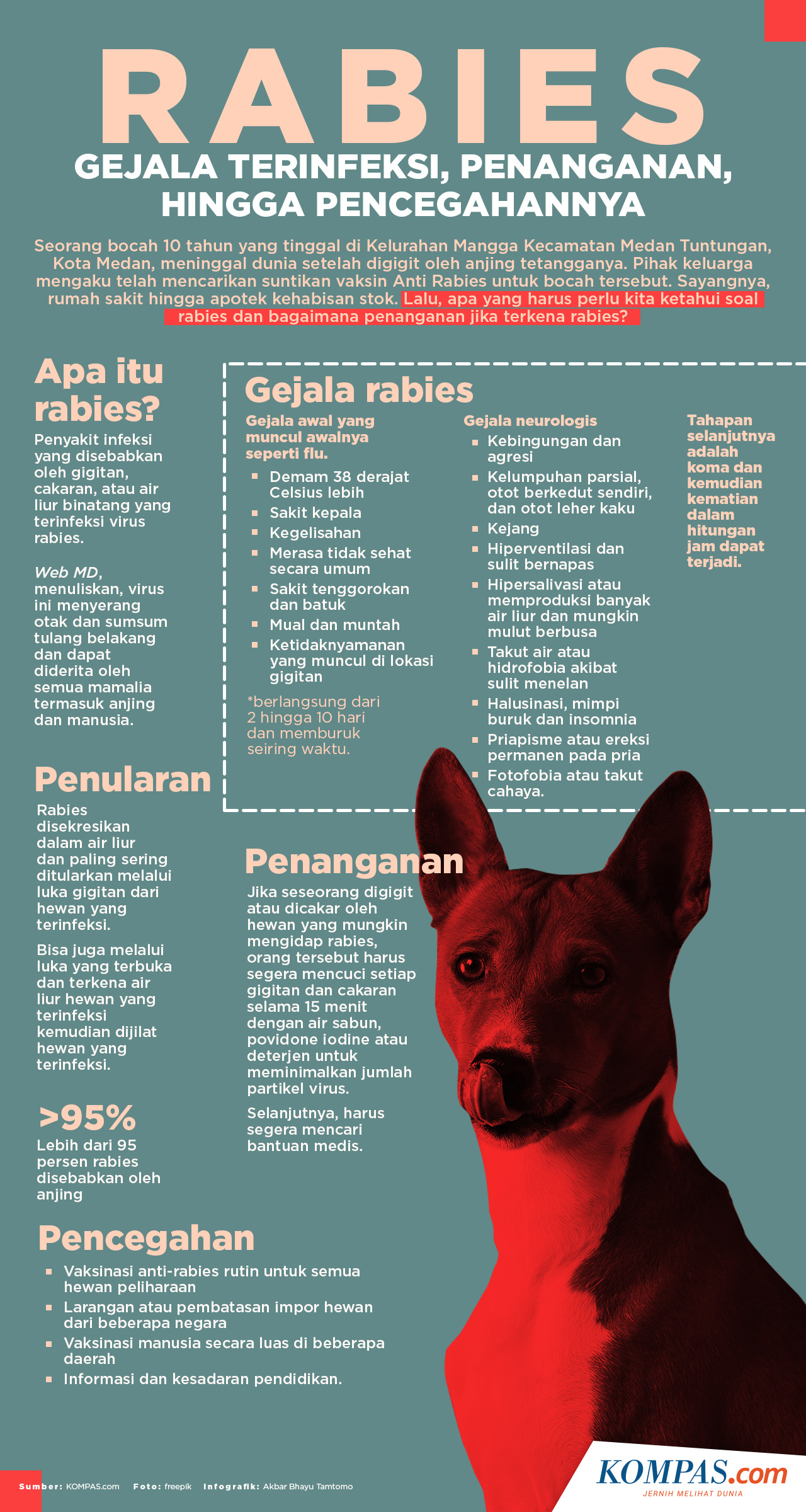 Infografik Mengenal Apa Itu Rabies Gejala Terinfeksi Hingga | Sexiz Pix