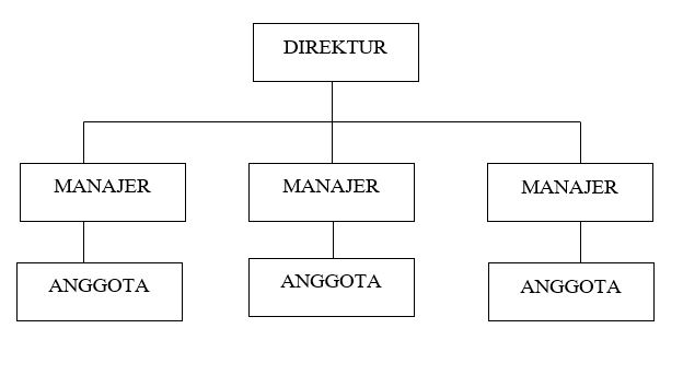 Contoh Struktur Organisasi Lini Dan Staf Mayakartika Profile Pt - Riset