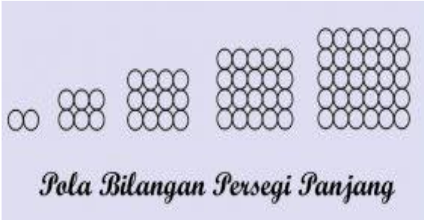 Macam-Macam Pola Bilangan dan Rumusnya