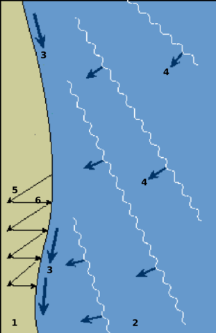 Longshore Current: Pengertian, Proses Terjadi, dan Dampaknya