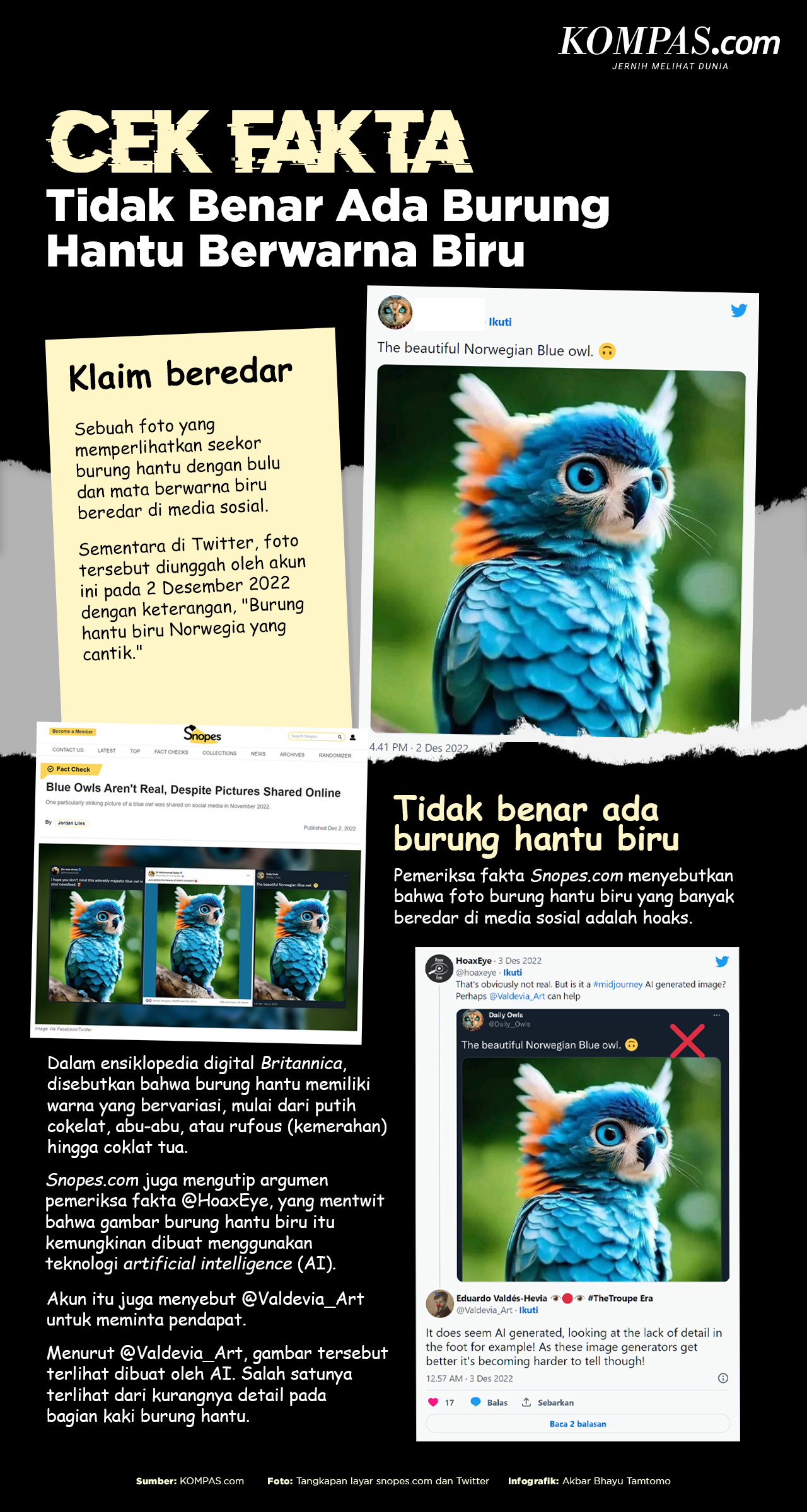 INFOGRAFIK: Hoaks, Munculnya Burung Hantu Berwarna Biru