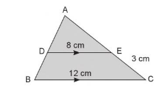 Cara Mencari Panjang Garis Tinggi dan Garis Sejajar Segitiga
