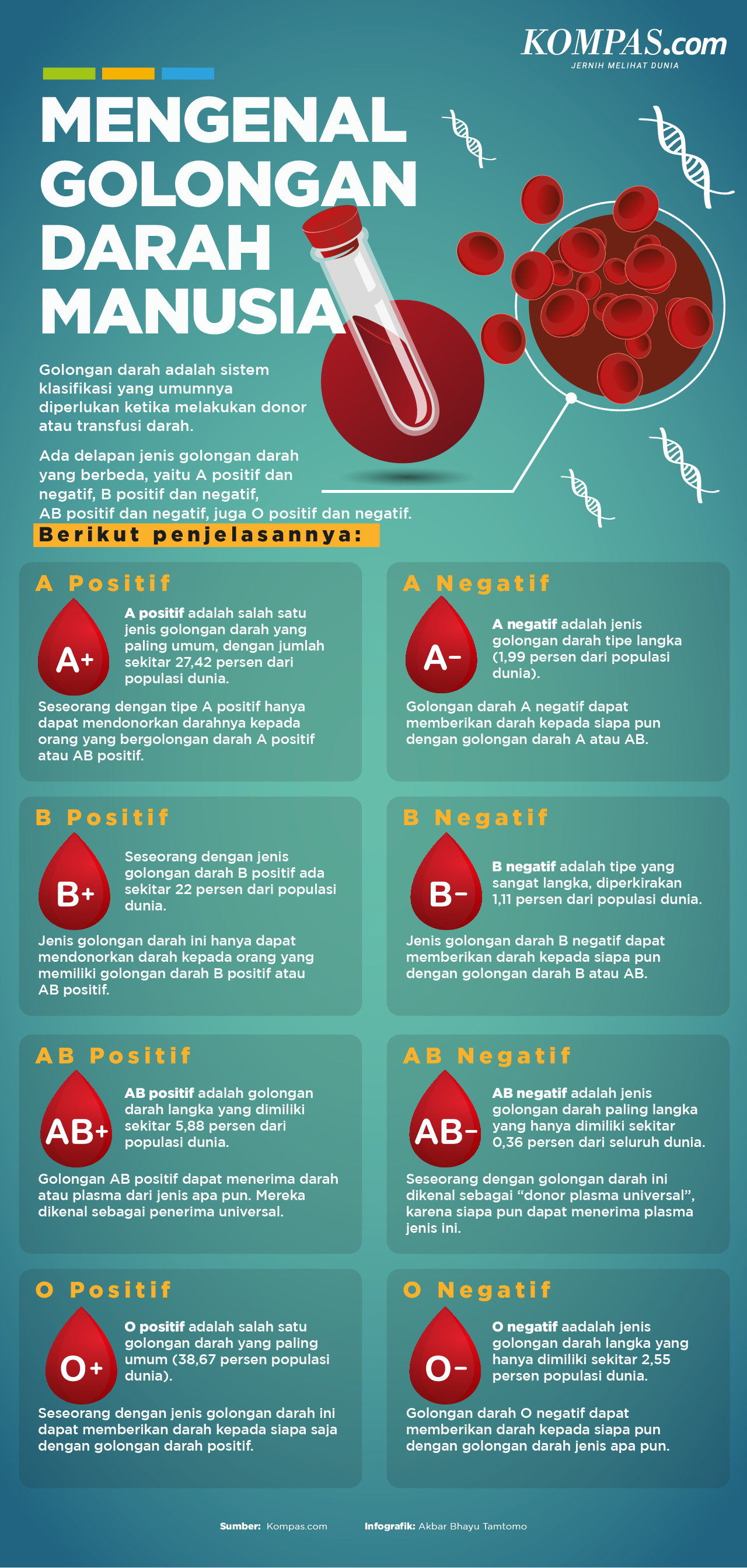 Infografik Mengenal Golongan Darah Manusia