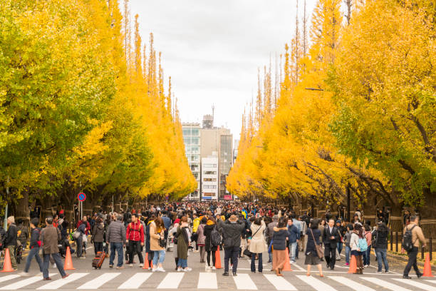 Menikmati keindahan musim gugur di Jepang.
