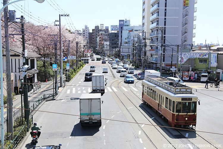 Kolaborasi trem, mobil, dan sakura dari atas Jembatan Pejalan Asukayama Koen Hodokyo.