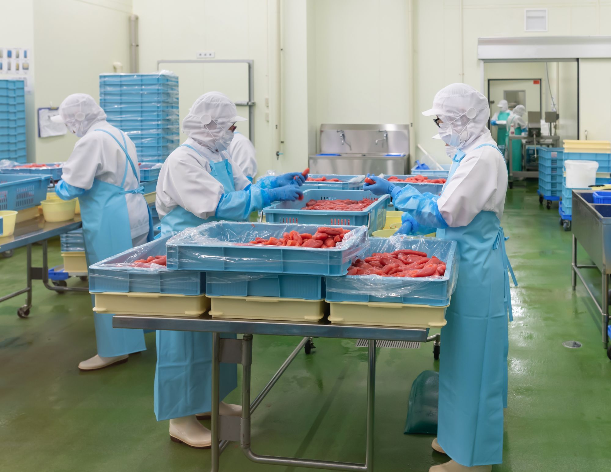 Sebuah pabrik pengolahan makanan telur ikan cod pedas (Fokus pada mentaiko) di Prefektur Shizuoka, Jepang.