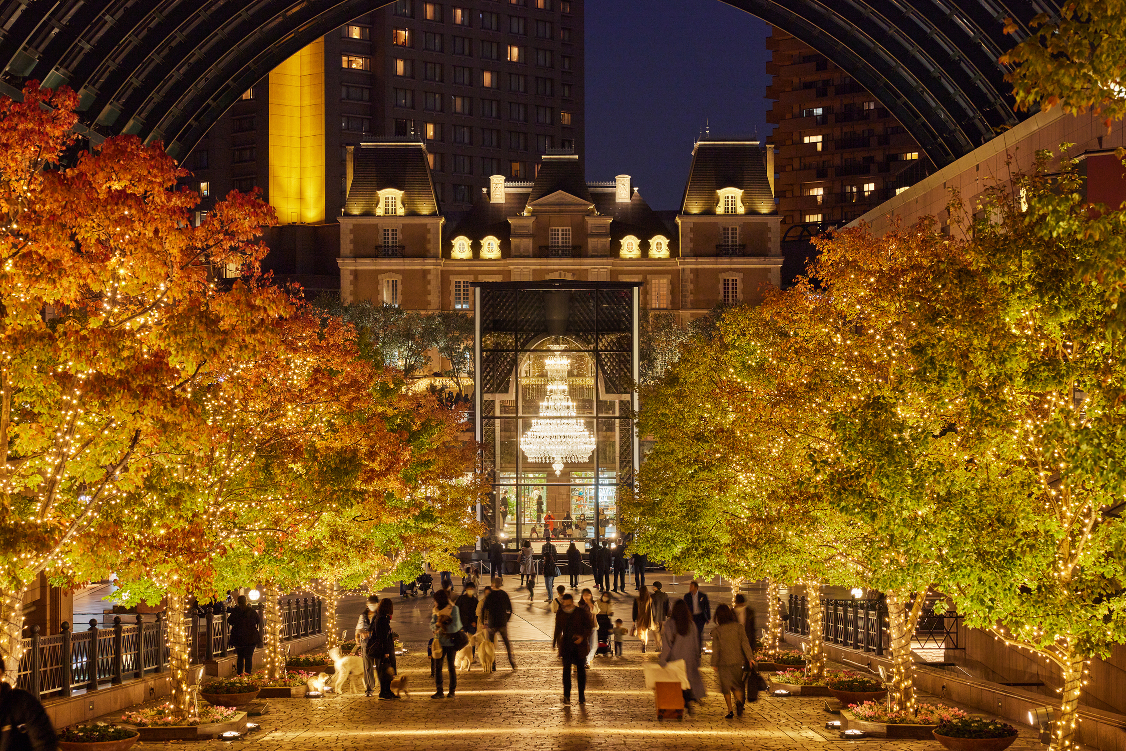 Menikmati keindahan iluminasi di Yebisu Garden Place, Tokyo.