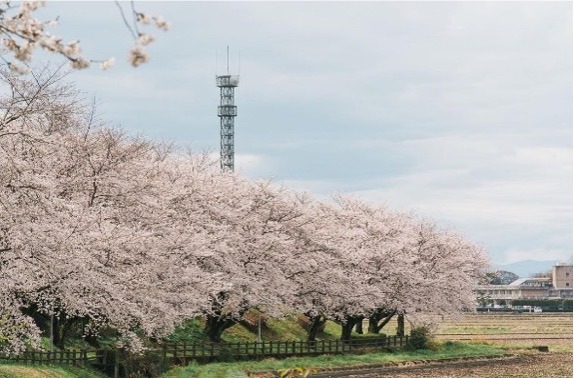 Yamashita Dori (Jalan Yamashita).