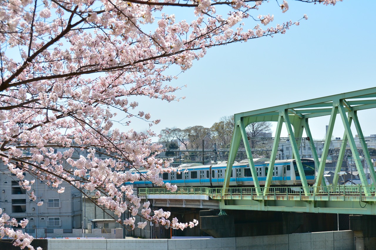 Arakawa Ryokuchi (Area Hijau Arakawa).