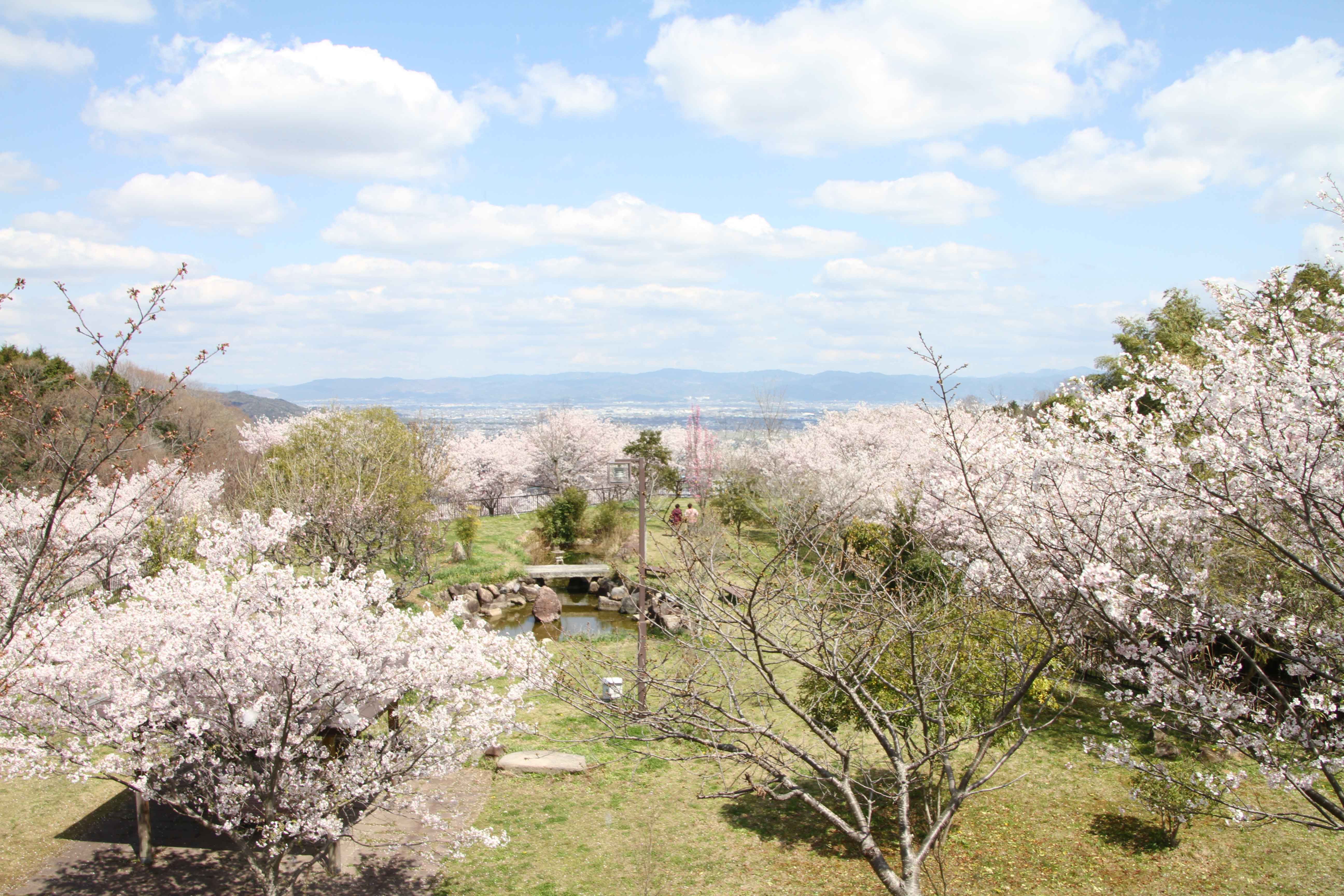 Tatsuta-Kodo no Sotoyama Koen