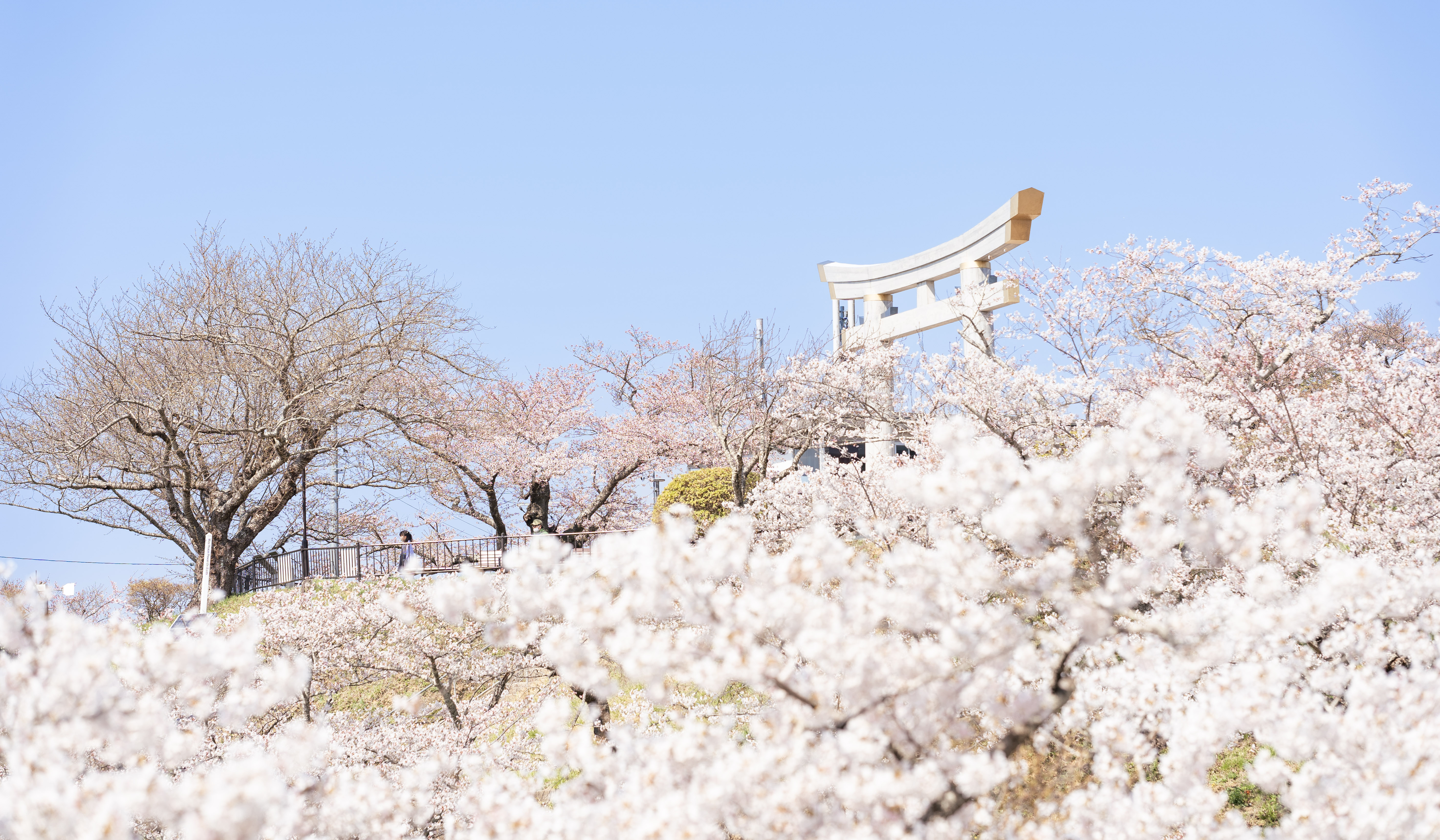  Hiyoriyama Koen