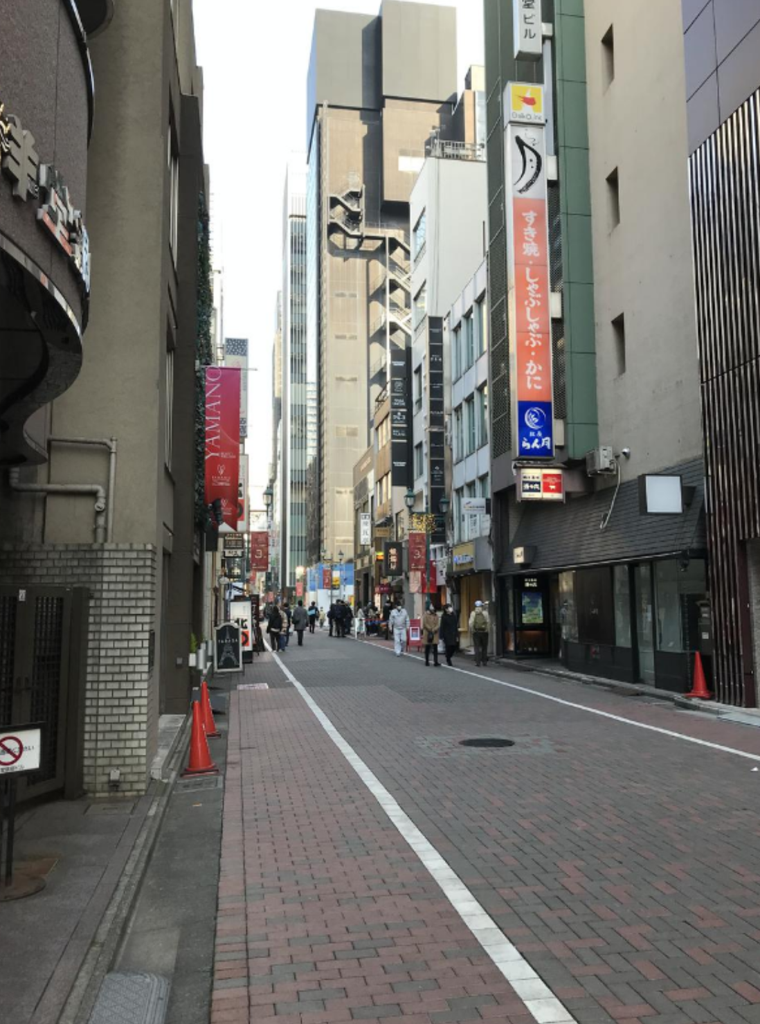Ginza-Gasuto-dori St. (Ginza 1-4 Chome)