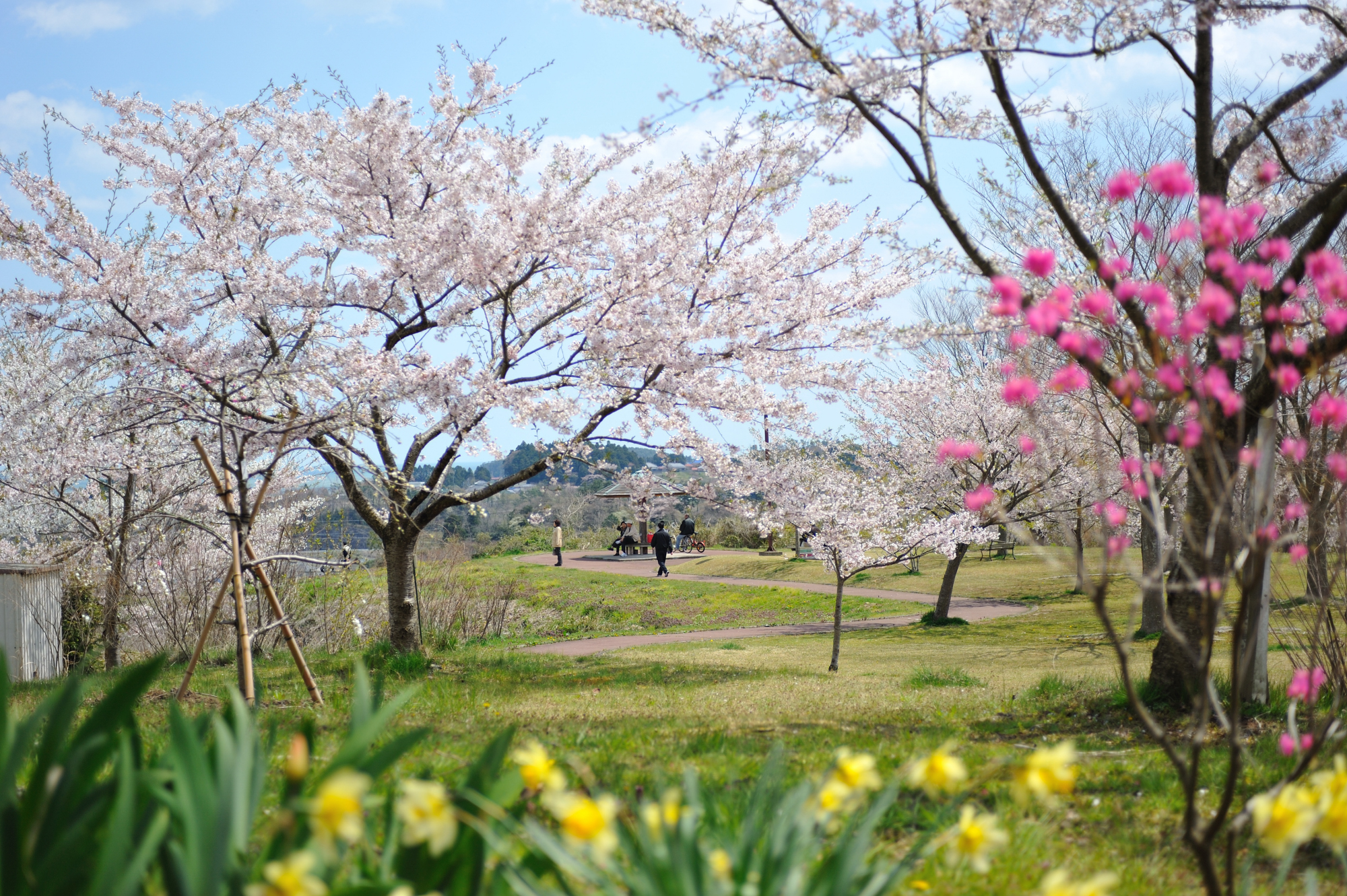 Tamonzan Tenbo Hiroba Koen