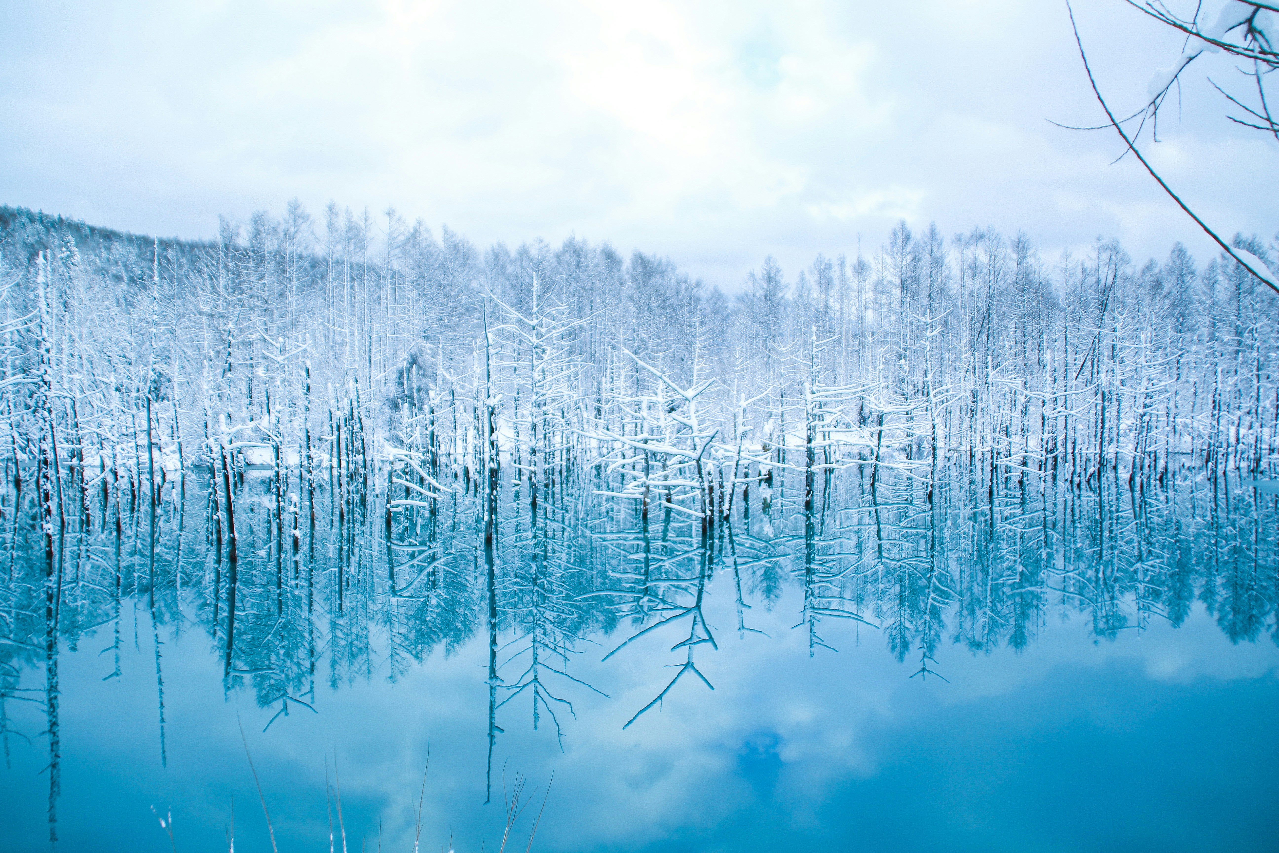 Hokkaido. 