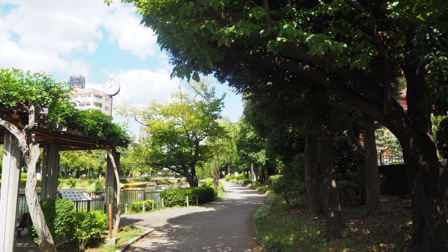 Taman tepi sungai Yokojukken-gawa, Tokyo, Jepang.