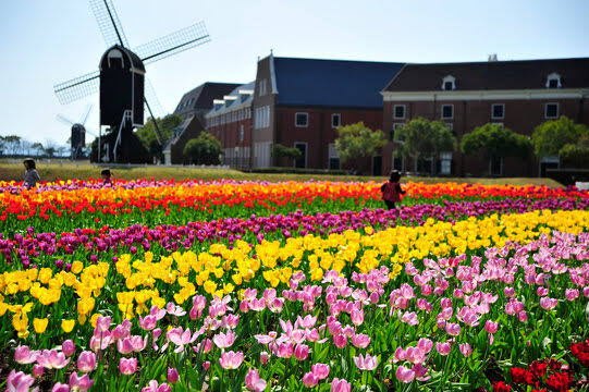 Huis Ten Bosch taman hiburan di Prefektur Nagasaki yang meniru jalanan Belanda, menyajikan bunga musiman dan suasana khas Belanda. (KARAKSA MEDIA PARTNER)