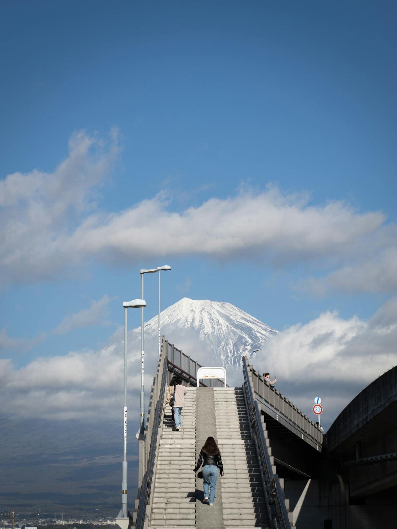 Pagar tinggi dipasang di area Mount Fuji Dream Bridge atau Jembatan Impian Gunung Fuji. (PIXABAY/TIEN NGUYEN)