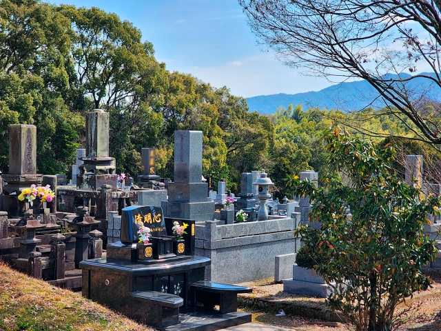 Keluarga mengunjungi makam leluhur mereka, membersihkannya, dan mempersembahkan bunga serta makanan selama Obon. (KARAKSA MEDIA PARTNER)