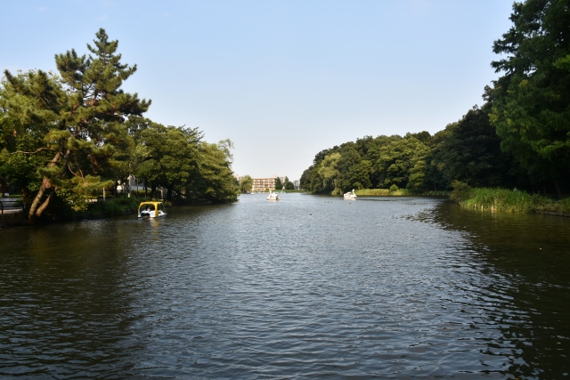 Taman Shakujii di Tokyo, Jepang. (KARAKSA MEDIA PARTNER)