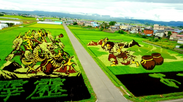 Tanbo art atau seni melukis sawah di Jepang. (KARAKSA MEDIA PARTNER)