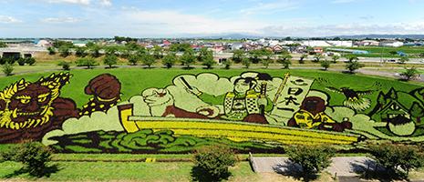 Tanbo art atau seni melukis sawah di Jepang konon berasal dari Desa Inakadate di Prefektur Aomori, Jepang. (KARAKSA MEDIA PARTNER)