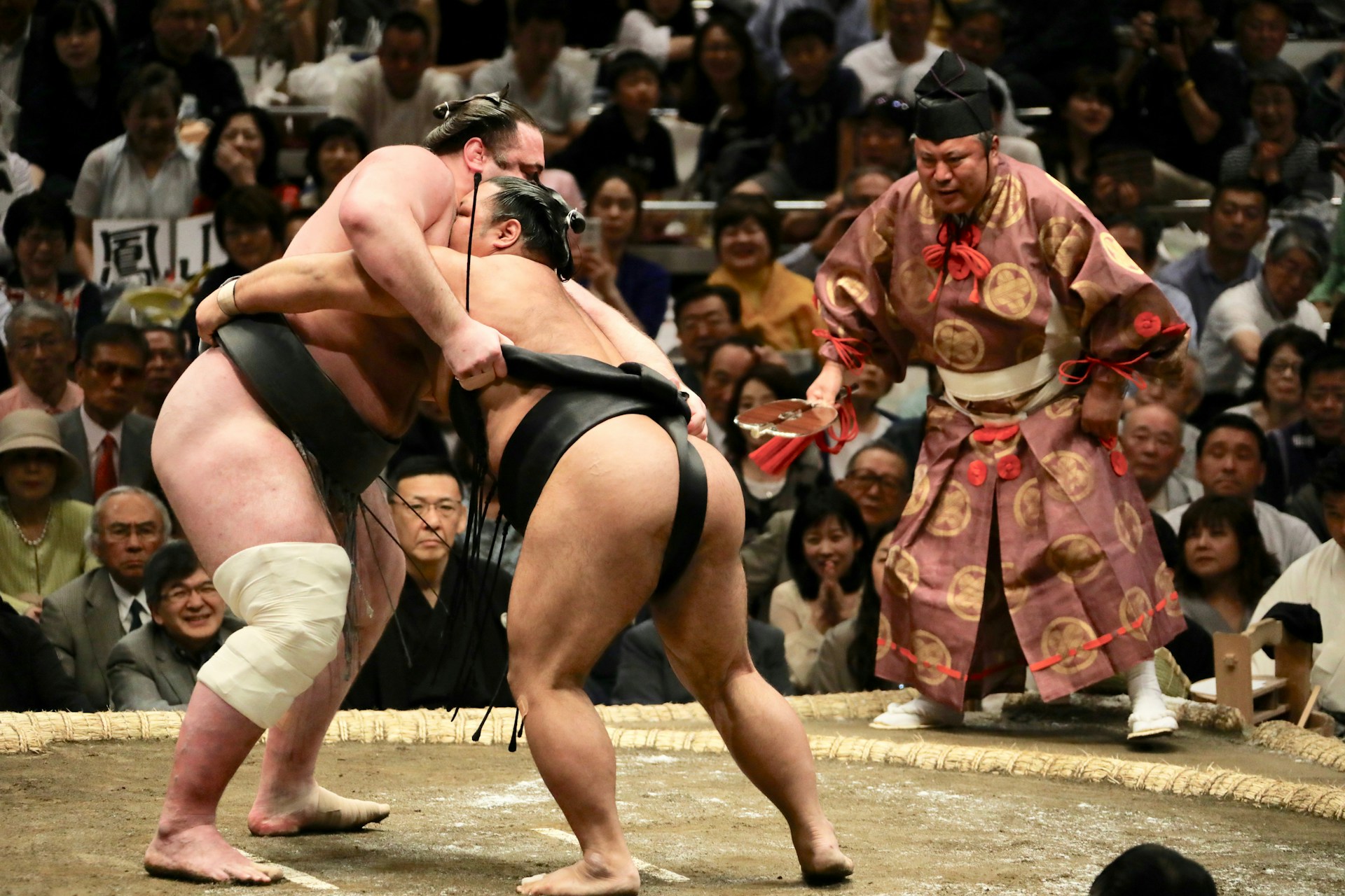 Pesumo jepang atau rikishi bertanding di arena melingkar alias dohyo. 