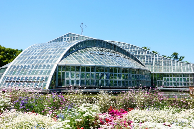 Kyoto Prefectural Botanical Garden Greenhouse Dome, Kyoto, Jepang. (DOK. PHOTO53)