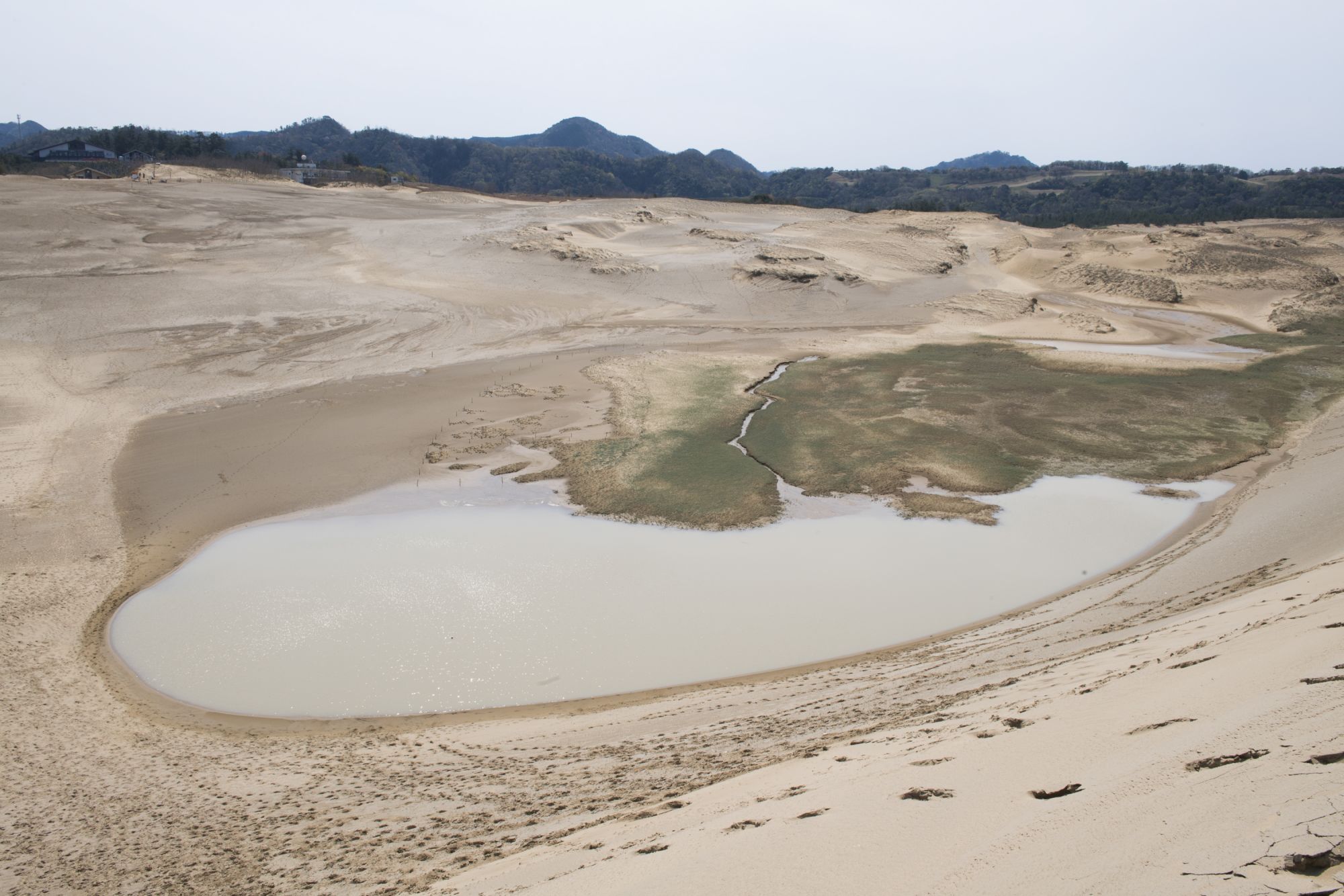 Oasis di bukit pasir Tottori, Prefektur Tottori, Jepang. (©JNTO)