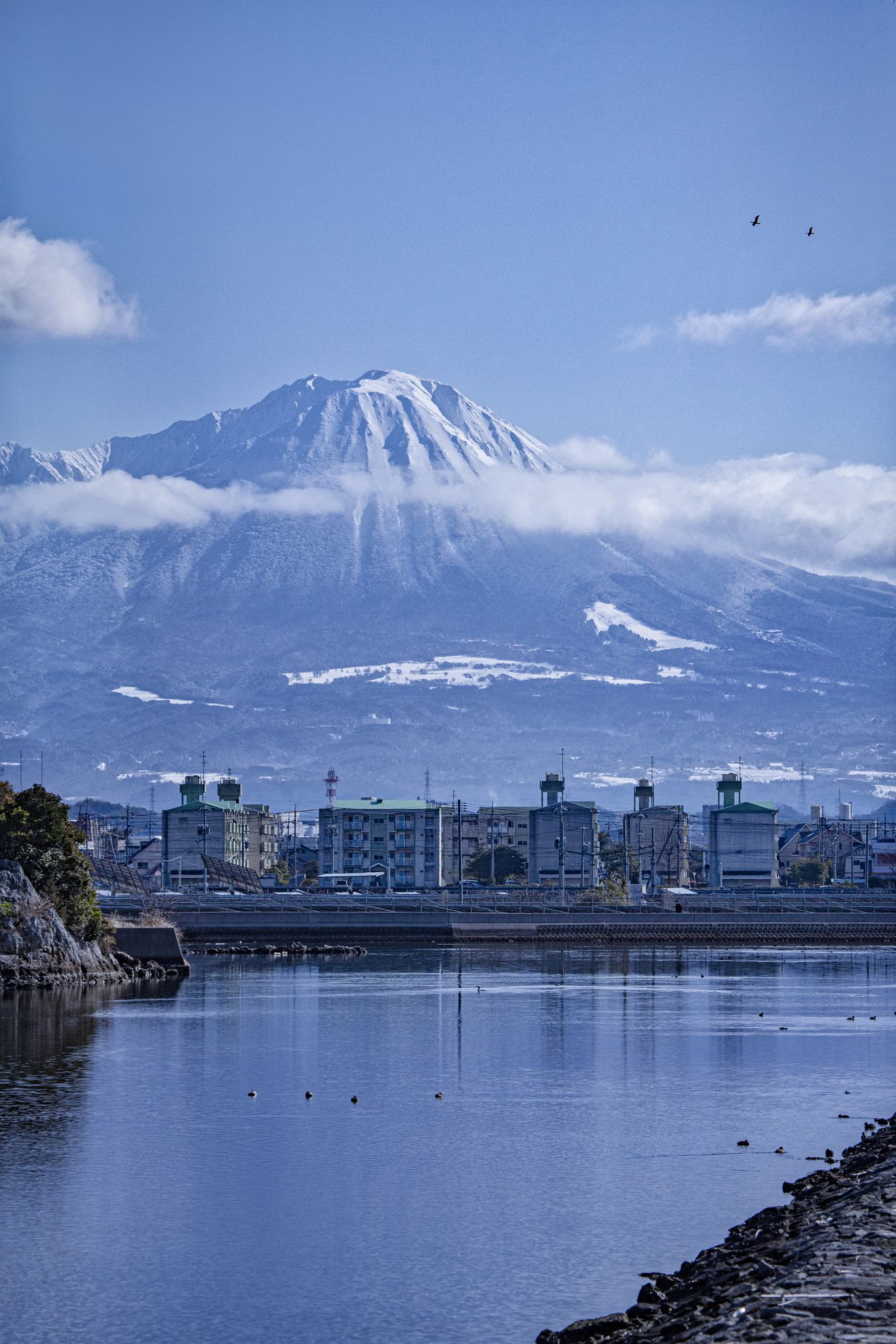 Yonago Waterbird Sanctuary, suaka 40 persen burung liar di Prefektur Tottori, Jepang. (©JNTO)