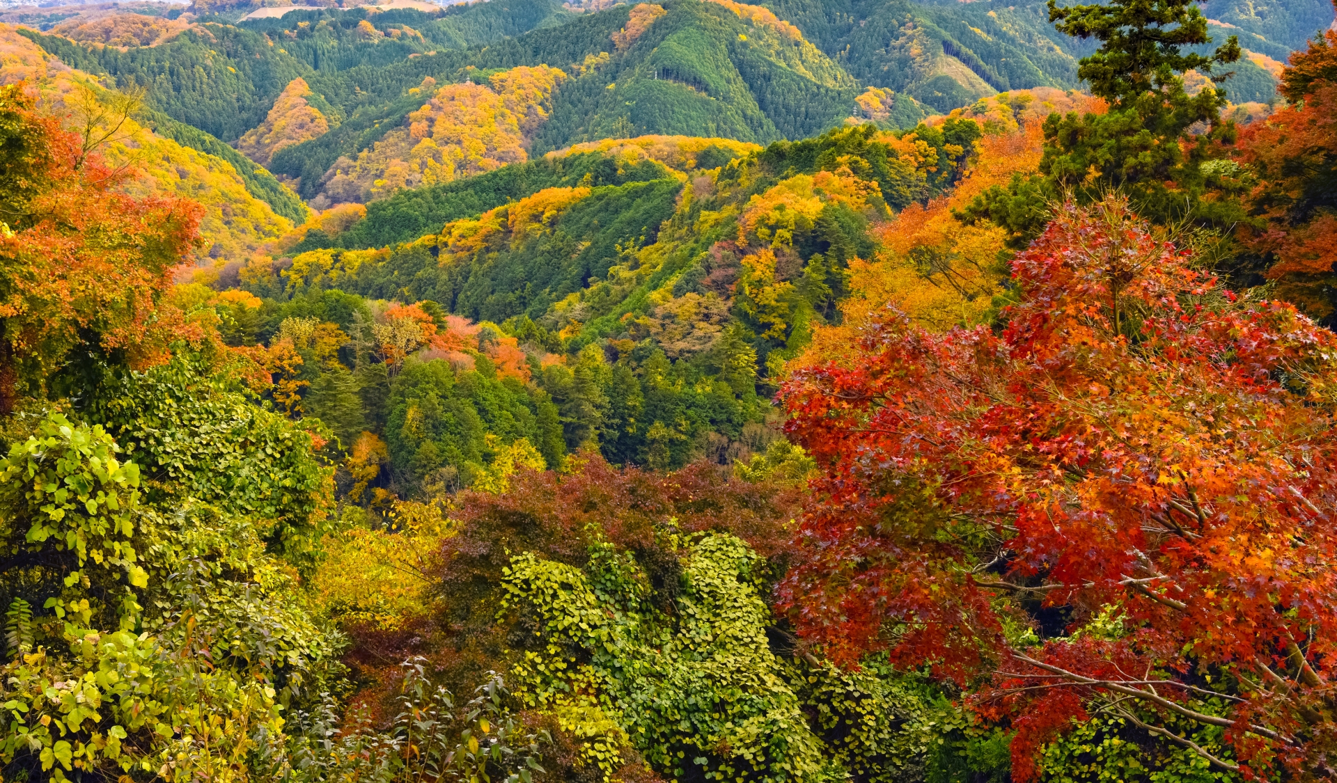 Pemandangan Gunung Takao di Tokyo penuh dengan dedaunan musim gugur. (KARAKSA MEDIA PARTNER)