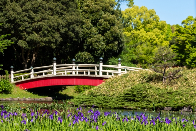 Kakitsubata Drum Bridge di Prefektur Aichi, Jepang. (KARAKSA MEDIA PARTNER)