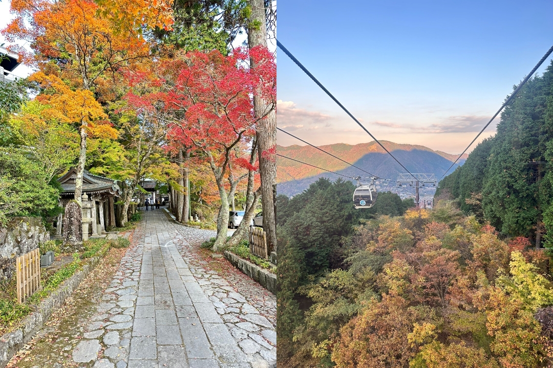 Kuil Choan dan Hakone Ropeway merupakan 2 dari banyaknya tempat wisata musim gugur di Kota Hakone, Prefektur Kanagawa, Jepang.