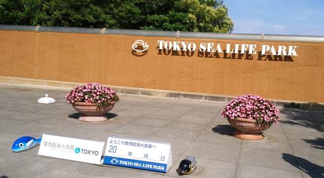 Tokyo Sea Life Park di Jepang.