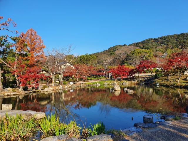 Taman Maruyama di Kyoto, Jepang.