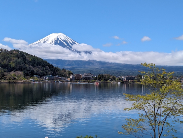 Pemandangan Gunung Fuji dari Danau Kawaguchi, wisata alam ikonik di Prefektur Yamanashi, Jepang.