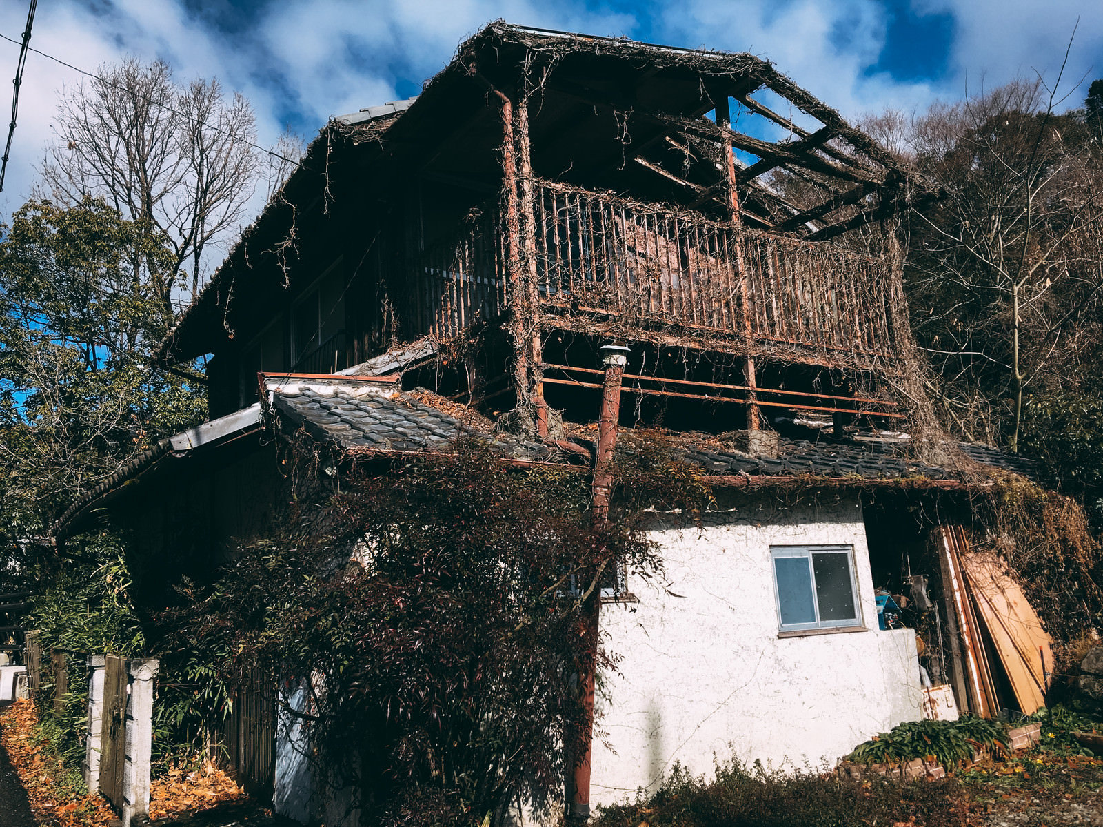 Akiya atau rumah kosong di Jepang, ini contoh hochi akiya alias rumah terbengkalai.