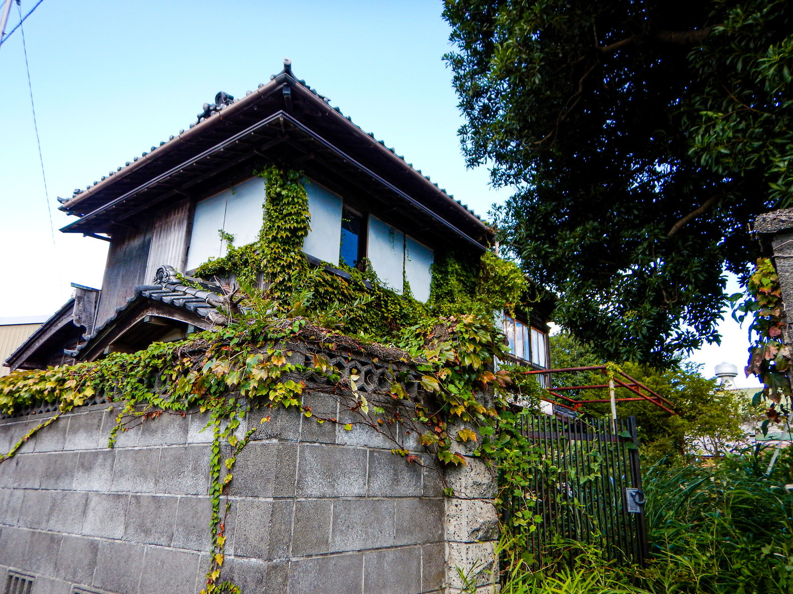 Hochi akiya atau rumah terbengkalai yang biasanya berlokasi di pedesaan Jepang.