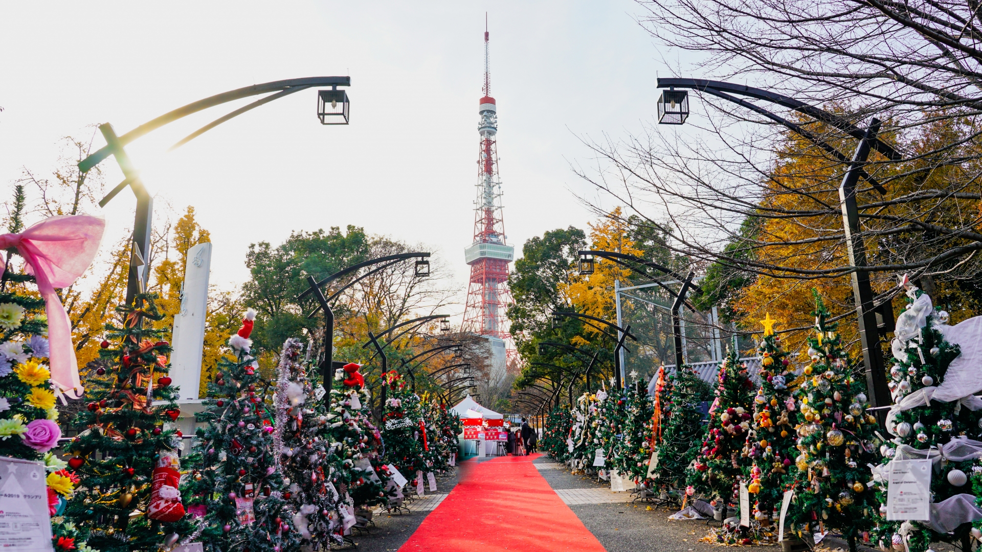 Suasana taman di Tokyo dipenuhi pohon Natal berlampu. 