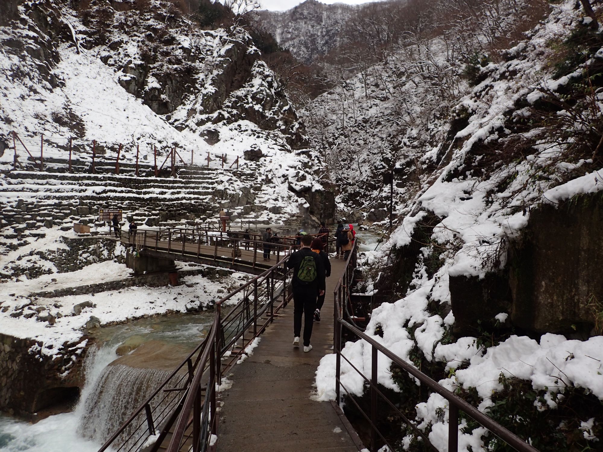 Jigokudani Monkey Park di Prefektur Nagano, Jepang, saat musim dingin diselimuti salju.