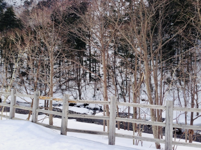 Hutan Sounkyo di  Hokkaido, Jepang.