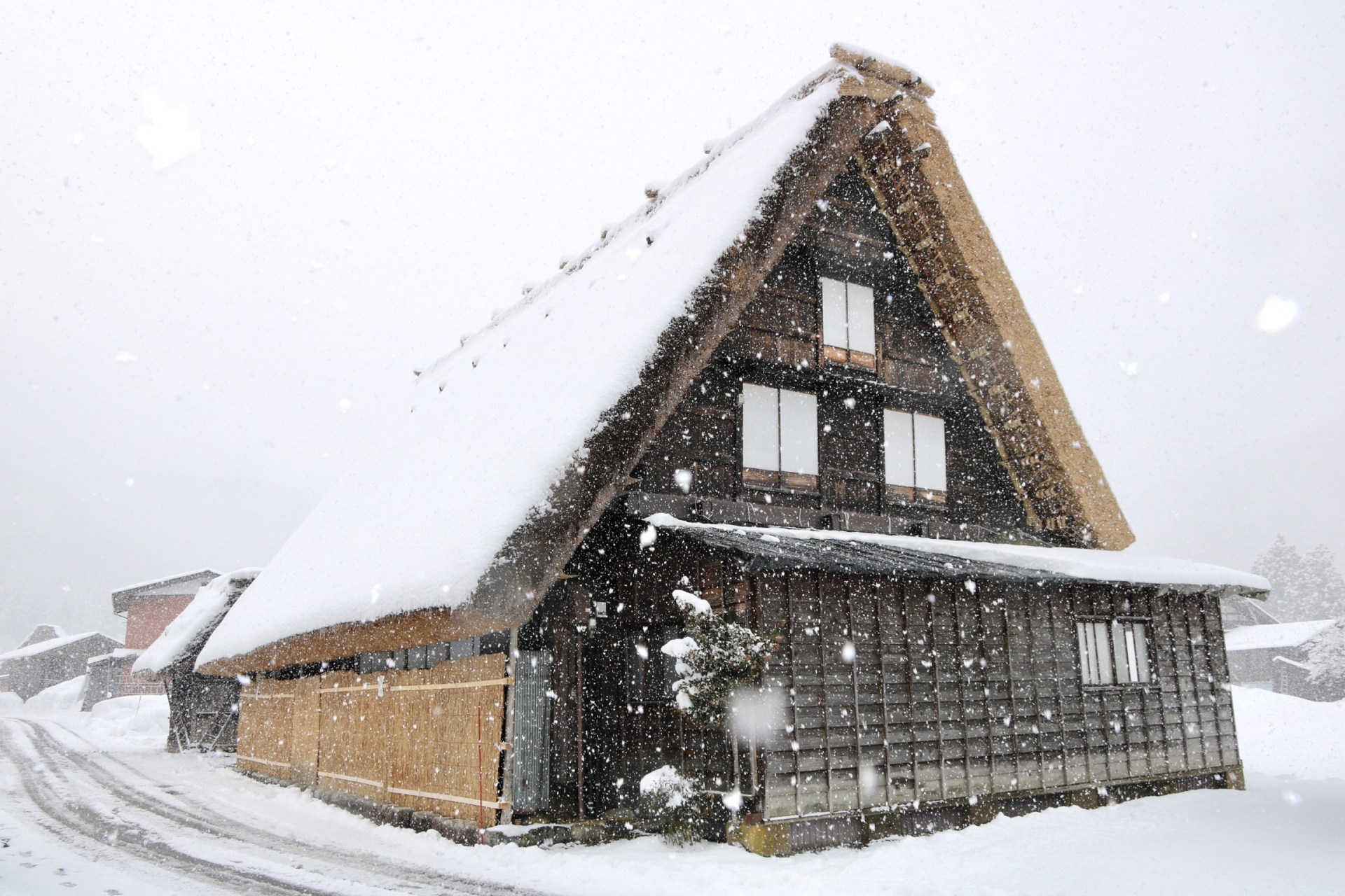 Gassho-zukuri, rumah tradisional beratap jerami miring di Shirakawa-go, Jepang.
