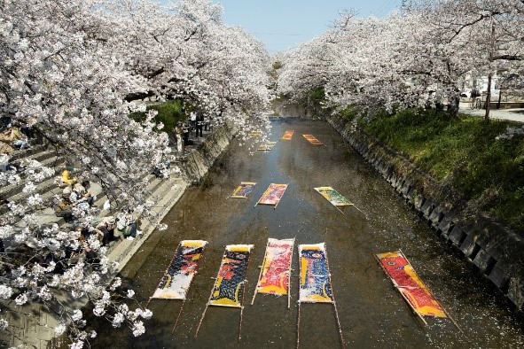 Nonbori Arai di Sungai Gojo.