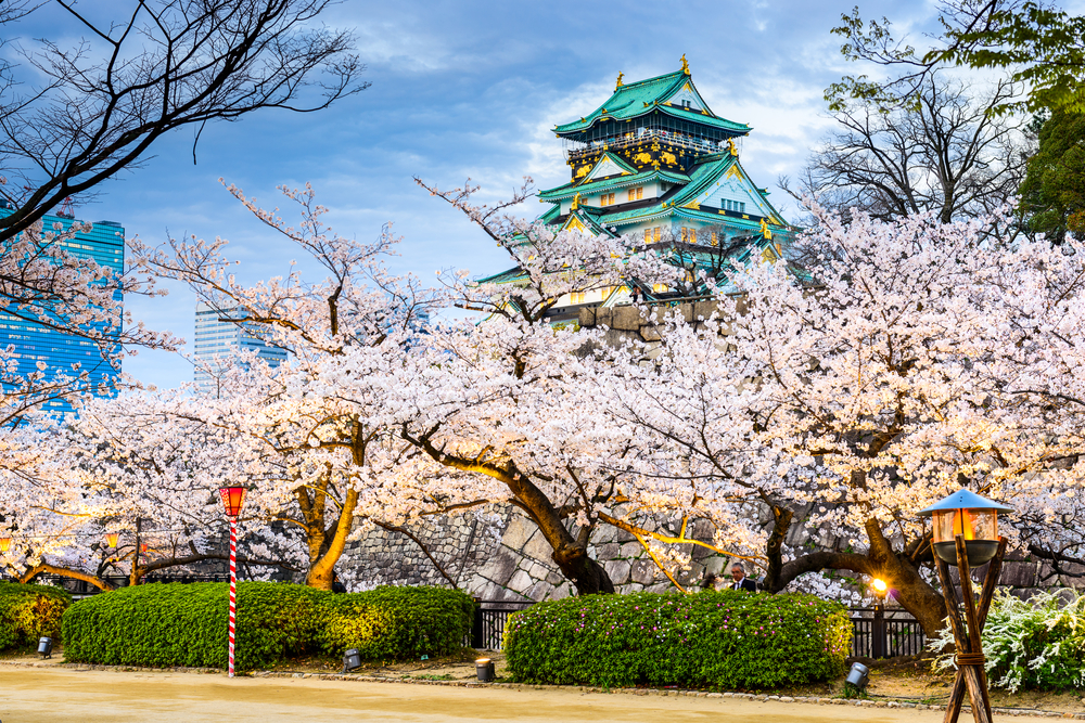 Sakura mekar di Taman Kastil Osaka, Jepang.