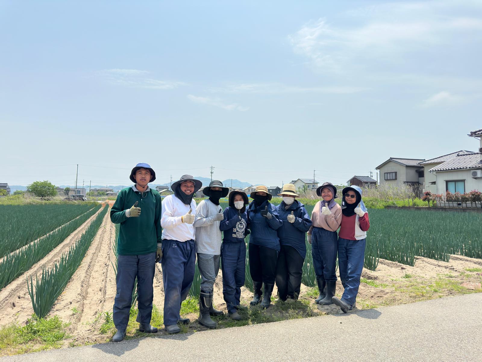 Sejumlah petani asal Indonesia di Matsubara Farm, Selasa (20/5/2025).