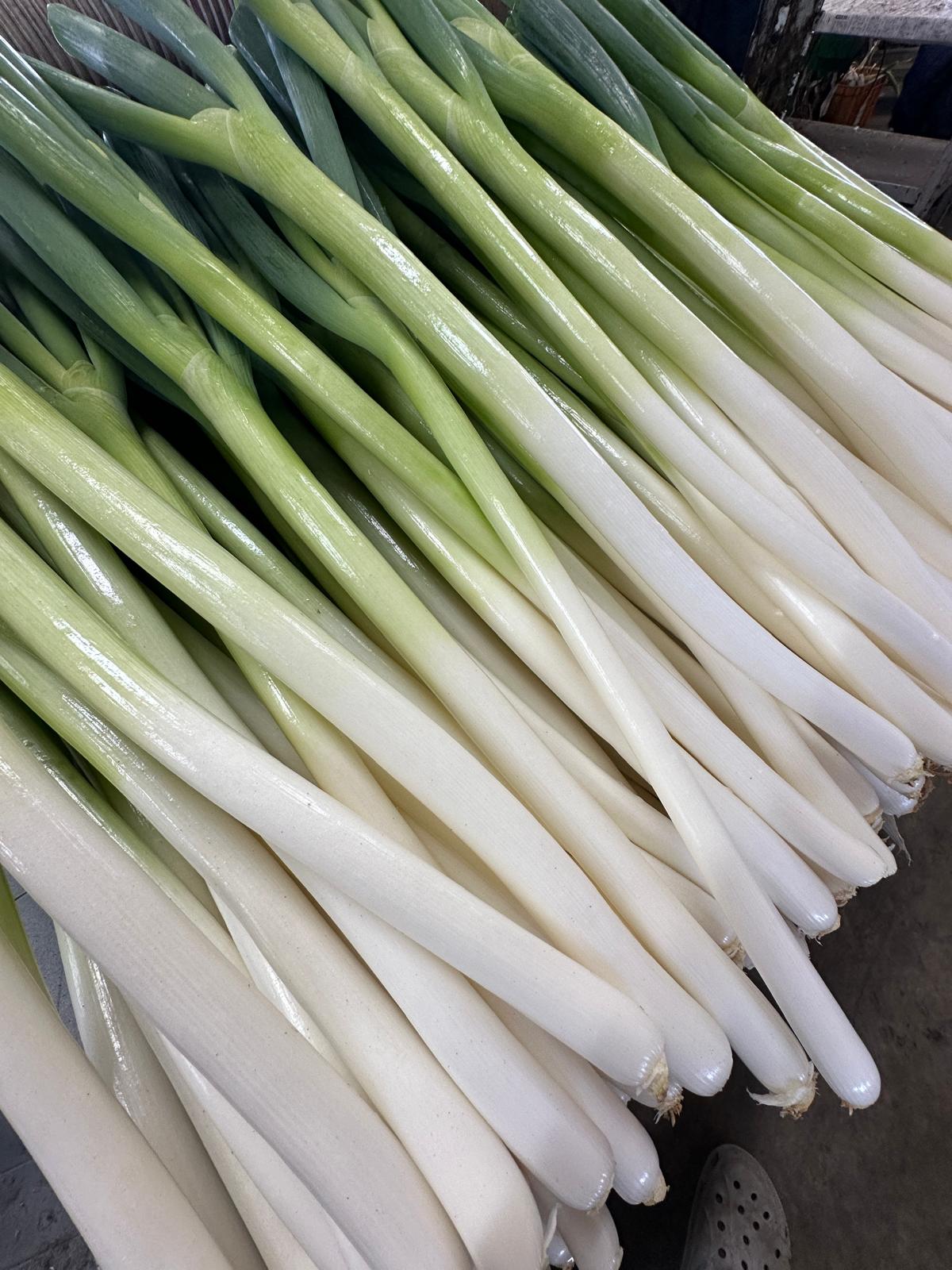 Daun bawang merupkan produksi unggulan Matsubara Farm milik petani Jepang asal Indonesia, Lina Rokayah, dan suaminya.