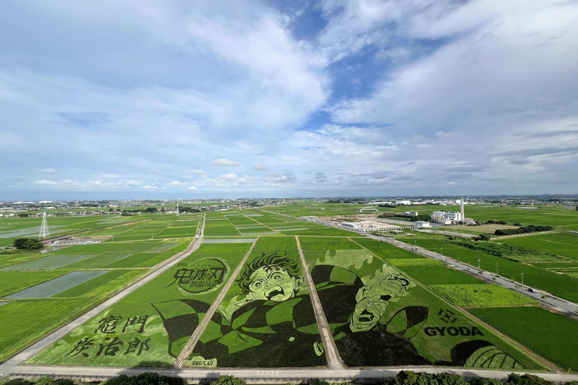 Sambut penayangan Demon Slayer: Kimetsu No Yaiba The Movie - Infinity Castle, wajah Tanjiro Kamado muncul di sawah lewat tanbo art atau seni sawah. Wajah Tanjiro mulai terlihat sempurna pada 16 Juli 2025.