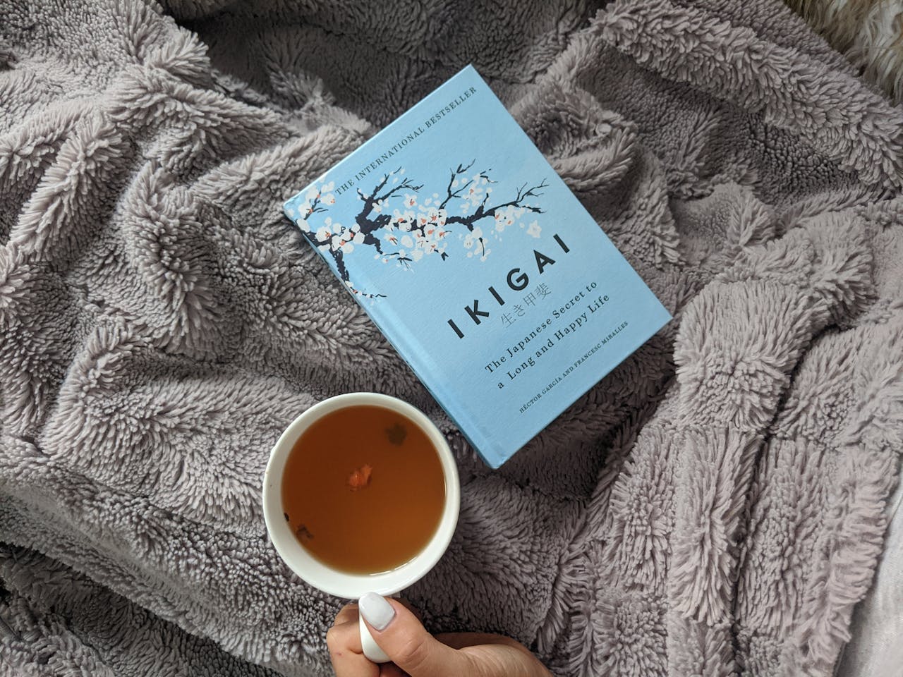 Buku Ikigai: The Japanese Secret to a Long and Happy Life karya Hector Garcia dan Francesc Miralles yang terbit pada 2016.