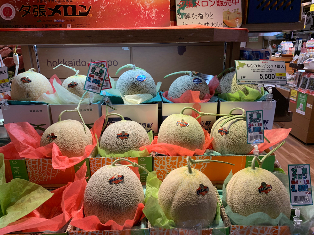Melon Yubari King, salah satu buah termahal di Jepang. Sepasang melon Yubari King pernah terjual seharga Rp 550 juta-an.