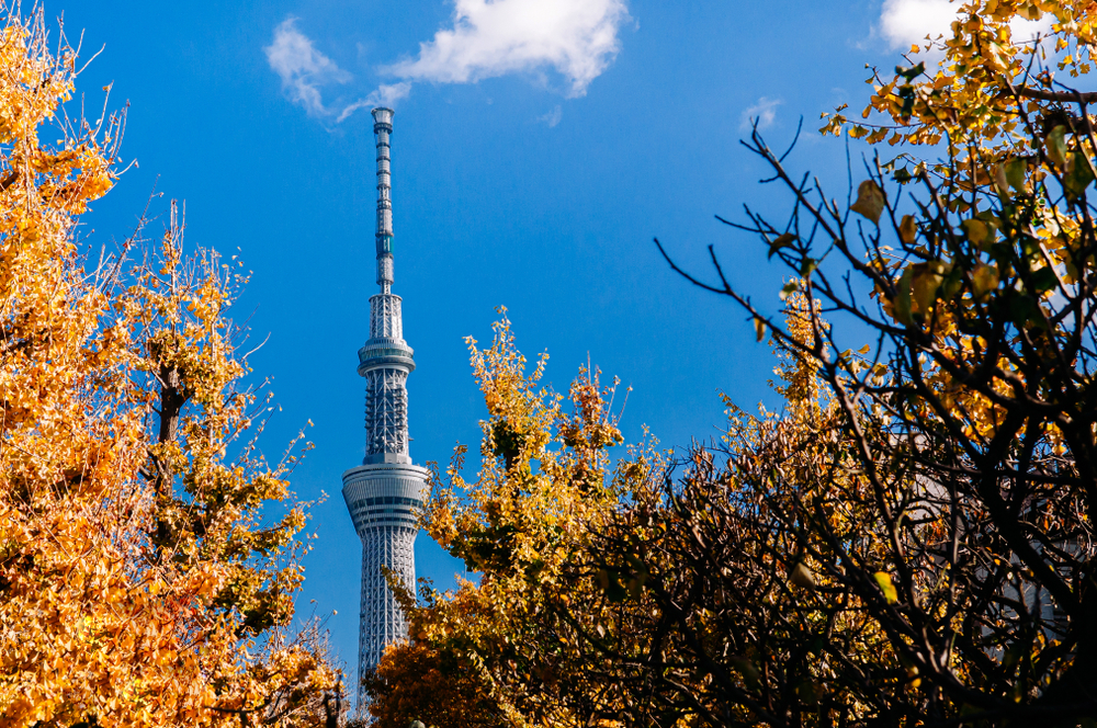 Tokyo Skytree, tempat wisata di Tokyo, Jepang. Saat diresmikan pada 2012, Guinness World Records mencatatnya sebagai menara tertinggi di dunia dengan tinggi 634 meter.
